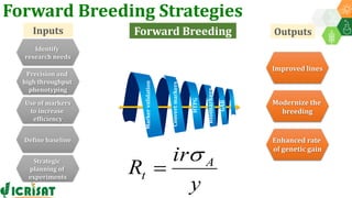 Research Program Genetic Gains (RPGG) Review Meeting 2021: Forward Breeding: tools and technologies for accelerating rate of genetic gain By Dr Manish Roorkiwal