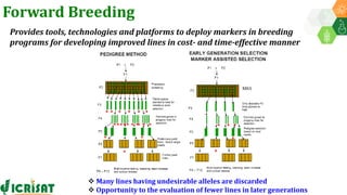 Research Program Genetic Gains (RPGG) Review Meeting 2021: Forward Breeding: tools and technologies for accelerating rate of genetic gain By Dr Manish Roorkiwal