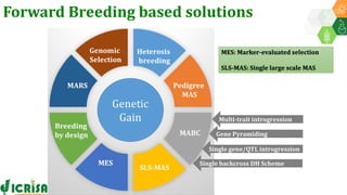 Research Program Genetic Gains (RPGG) Review Meeting 2021: Forward Breeding: tools and technologies for accelerating rate of genetic gain By Dr Manish Roorkiwal