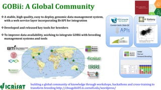 Research Program Genetic Gains (RPGG) Review Meeting 2021: Forward Breeding: tools and technologies for accelerating rate of genetic gain By Dr Manish Roorkiwal