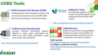 Research Program Genetic Gains (RPGG) Review Meeting 2021: Forward Breeding: tools and technologies for accelerating rate of genetic gain By Dr Manish Roorkiwal
