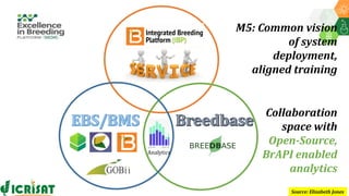 Research Program Genetic Gains (RPGG) Review Meeting 2021: Forward Breeding: tools and technologies for accelerating rate of genetic gain By Dr Manish Roorkiwal