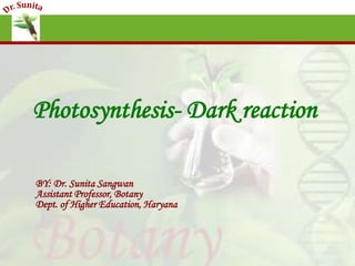 Photosynthesis- Dark reaction
BY: Dr. Sunita Sangwan
Assistant Professor, Botany
Dept. of Higher Education, Haryana
 