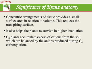 Photosynthesis - dark reaction