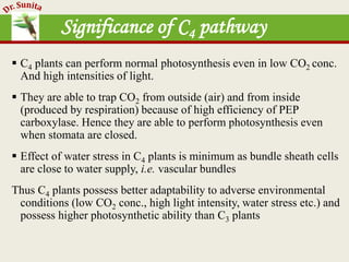 Photosynthesis - dark reaction