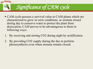 Photosynthesis - dark reaction