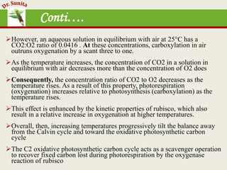 Photosynthesis - dark reaction