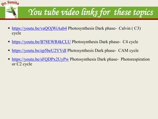 Photosynthesis - dark reaction