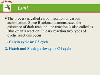 Photosynthesis - dark reaction