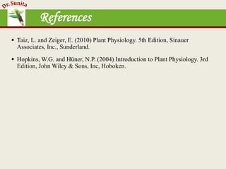 Photosynthesis - dark reaction