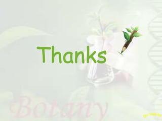 Photosynthesis - dark reaction