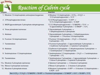 Photosynthesis - dark reaction