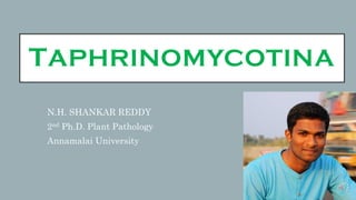 TAPHRINOMYCOTINA
N.H. SHANKAR REDDY
2nd Ph.D. Plant Pathology
Annamalai University
 