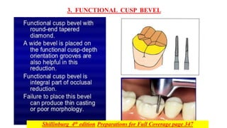 3. FUNCTIONAL CUSP BEVEL
Shillinburg 4th edition Preparations for Full Coverage page 347
 