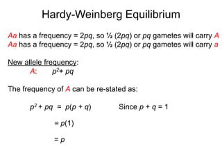 Aa has a frequency = 2pq, so ½ (2pq) or pq gametes will carry A
Aa has a frequency = 2pq, so ½ (2pq) or pq gametes will carry a
New allele frequency:
A: p2+ pq
The frequency of A can be re-stated as:
p2 + pq = p(p + q) Since p + q = 1
= p(1)
= p
Hardy-Weinberg Equilibrium
 