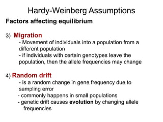 Factors affecting equilibrium
3) Migration
- Movement of individuals into a population from a
different population
- if individuals with certain genotypes leave the
population, then the allele frequencies may change
4) Random drift
- is a random change in gene frequency due to
sampling error
- commonly happens in small populations
- genetic drift causes evolution by changing allele
frequencies
Hardy-Weinberg Assumptions
 