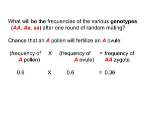 What will be the frequencies of the various genotypes
(AA, Aa, aa) after one round of random mating?
Chance that an A pollen will fertilize an A ovule:
(frequency of X (frequency of = frequency of
A pollen) A ovule) AA zygote
0.6 X 0.6 = 0.36
 
