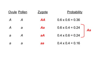 Ovule Pollen Zygote Probability
A A AA 0.6 x 0.6 = 0.36
A a Aa 0.6 x 0.4 = 0.24
a A aA 0.4 x 0.6 = 0.24
a a aa 0.4 x 0.4 = 0.16
Aa
 