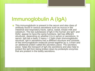 Immunoglobulin A (IgA)
 This immunoglobulin is present in the serum and also class of
antibody found in various secretions such as mucus in the
intestinal and respiratory tracts, saliva, sweat, breast milk and
colostrum. The two subclasses of IgA in the human are IgA1 and
IGA2, appear to have the same functions. IgA has different
structures depending on whether it is in serum or secretions. In
serum, IgA has a basic 2 heavy + 2 light chain Immunoglobulin
structure. IgA in secretions has a different structure and consists
of two Immunoglobulin molecule joined together by a J-chain and
an additional protein called the secretory piece. The secretory
piece helps the transport of IgA into secretions and also help to
protect the IgA from being broken down by proteolytic enzymes
that are present in the bodily secretions.
 