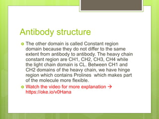 Antibody structure
 The other domain is called Constant region
domain because they do not differ to the same
extent from antibody to antibody. The heavy chain
constant region are CH1, CH2, CH3, CH4 while
the light chain domain is CL. Between CH1 and
CH2 domains of the heavy chain, we have hinge
region which contains Prolines which makes part
of the molecule more flexible.
 Watch the video for more explanation 
https://oke.io/v0Hana
 
