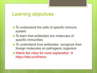 Learning objectives
 To understand the cells of specific immune
system.
 To learn that antibodies are molecules of
specific immunities
 To understand how antibodies recognize their
foreign molecules on pathogenic organism
 Watch the video for more explanation 
https://oke.io/v0Hana
 