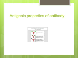 Antigenic properties of antibody
 
