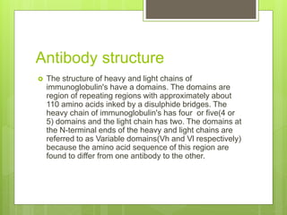 Antibody structure
 The structure of heavy and light chains of
immunoglobulin's have a domains. The domains are
region of repeating regions with approximately about
110 amino acids inked by a disulphide bridges. The
heavy chain of immunoglobulin's has four or five(4 or
5) domains and the light chain has two. The domains at
the N-terminal ends of the heavy and light chains are
referred to as Variable domains(Vh and Vl respectively)
because the amino acid sequence of this region are
found to differ from one antibody to the other.
 