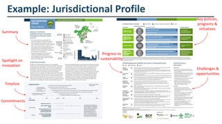 The State of Jurisdictional Sustainability: Synthesis for Practitioners and Policymakers