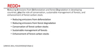 REDD+
Reducing Emissions from Deforestation and forest Degradation in developing
countries, plus the role of conservation,...