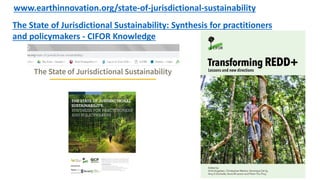 The State of Jurisdictional Sustainability: Synthesis for Practitioners and Policymakers