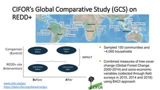The State of Jurisdictional Sustainability: Synthesis for Practitioners and Policymakers