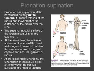 13. radio ulnar joints | PPTX