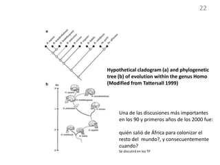 13.-1-Evolucion-Humana.pptx