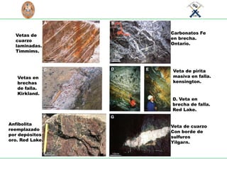 S
C
I
E
N
T
I
A
E
T
L
A
B
O
R
U
N
I
V
E
R
S
I
D
A
D
NACIONAL
D
E
I
N
G
E
N
I
E
RI
A
L
I
M
A
P
E
R
U
1876
Carbonatos Fe
en brecha.
Ontario.
Vetas de
cuarzo
laminadas.
Timmims.
Anfibolita
reemplazado
por depósitos
oro. Red Lake.
Veta de pirita
masiva en falla.
kensington.
D. Veta en
brecha de falla.
Red Lake.
Veta de cuarzo
Con borde de
sulfuros
Yilgarn.
Vetas en
brechas
de falla.
Kirkland.
 