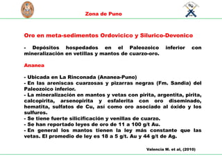S
C
I
E
N
T
I
A
E
T
L
A
B
O
R
U
N
I
V
E
R
S
I
D
A
D
NACIONAL
D
E
I
N
G
E
N
I
E
RI
A
L
I
M
A
P
E
R
U
1876
Zona de Puno
Oro en meta-sedimentos Ordovicico y Silurico-Devonico
- Depósitos hospedados en el Paleozoico inferior con
mineralización en vetillas y mantos de cuarzo-oro.
Ananea
- Ubicada en La Rinconada (Ananea-Puno)
- En las areniscas cuarzosas y pizarras negras (Fm. Sandia) del
Paleozoico inferior.
- La mineralización en mantos y vetas con pirita, argentita, pirita,
calcopirita, arsenopirita y esfalerita con oro diseminado,
hematita, sulfatos de Cu, así como oro asociado al óxido y los
sulfuros.
- Se tiene fuerte silicificación y venillas de cuarzo.
- Se han reportado leyes de oro de 11 a 100 g/t Au.
- En general los mantos tienen la ley más constante que las
vetas. El promedio de ley es 18 a 5 g/t. Au y 44 g/t de Ag.
Valencia M. et al, (2010)
 