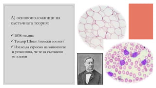  1838 година
 Теодор Шван /немски зоолог/
 Изследва строежа на животните
и установява, че те са съставени
от клетки
А) основоположници на
клетъчната теория:
 