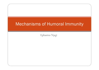 Ephantus Njagi
Mechanisms of Humoral Immunity
 