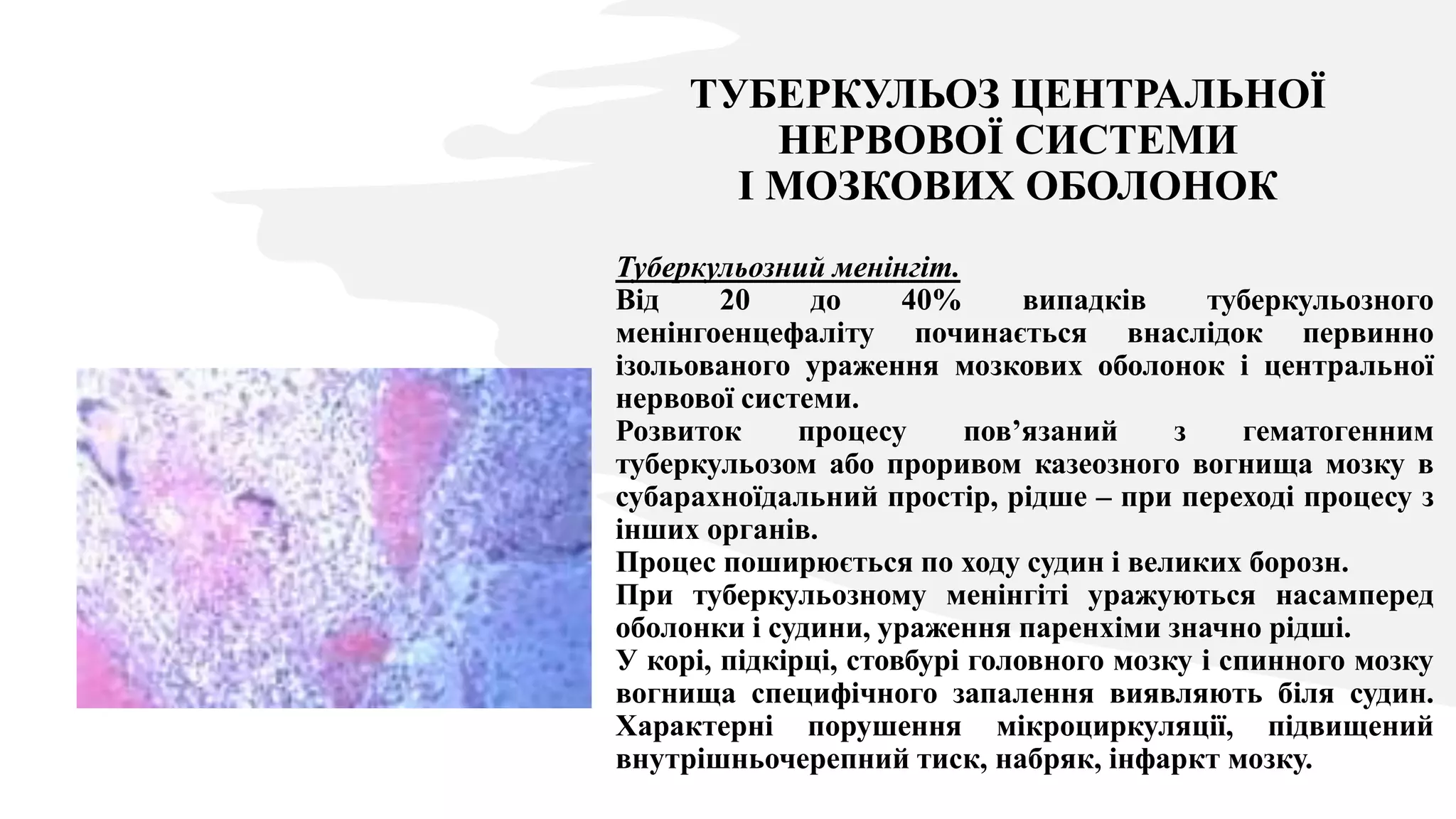 ТУБЕРКУЛЬОЗ ЦЕНТРАЛЬНОЇ
НЕРВОВОЇ СИСТЕМИ
І МОЗКОВИХ ОБОЛОНОК
Туберкульозний менінгіт.
Від 20 до 40% випадків туберкульозного
менінгоенцефаліту починається внаслідок первинно
ізольованого ураження мозкових оболонок і центральної
нервової системи.
Розвиток процесу пов’язаний з гематогенним
туберкульозом або проривом казеозного вогнища мозку в
субарахноїдальний простір, рідше – при переході процесу з
інших органів.
Процес поширюється по ходу судин і великих борозн.
При туберкульозному менінгіті уражуються насамперед
оболонки і судини, ураження паренхіми значно рідші.
У корі, підкірці, стовбурі головного мозку і спинного мозку
вогнища специфічного запалення виявляють біля судин.
Характерні порушення мікроциркуляції, підвищений
внутрішньочерепний тиск, набряк, інфаркт мозку.
 