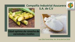 Compañía Industrial Azucarera
S.A. de C.V
Juan Díaz Covarrubias, Ver. 09 de Abril de 2018
Edad optima de cosecha de
variedades medias
 