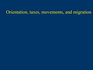 Orientation, taxes, movements, and migration
 