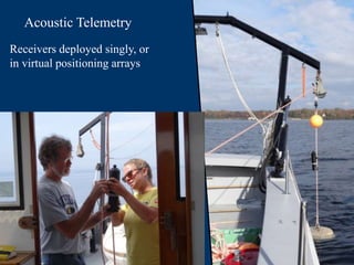 Telemetry Rig Positioning 13. Migration.ppt