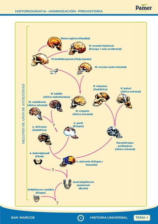 HISTORIOGRAFIA - HOMINIZACIÓN - PREHISTORIA
55
SAN MARCOS HISTORIA UNIVERSAL TEMA 1
MILLONES
DE
AÑOS
DE
ANTIGÜEDAD
?
?
Homo sapiens (Mundial)
H. neanderthalensis
(Europa y Asia occidental)
H. heidelbergensis (Viejo mundo)
H. erectus (Asia oriental)
P. robustus
(Sudáfrica) P. boisei
(África oriental)
H. ergaster
(África oriental)
H. hábilis
(África sudsahariana)
H. rudolfensis
(África oriental)
A. garhi
(Etiopía)
A. africanus
(Sudáfrica)
A. bahreighazail
(Chad)
A. afarensis (Etiopía y
Tanzania)
Australopithecus
anamensis
(Kenia)
Ardipithecus ramidus
(Eiopía)
Paranthropus
aethiopicus
(África oriental)
?
 