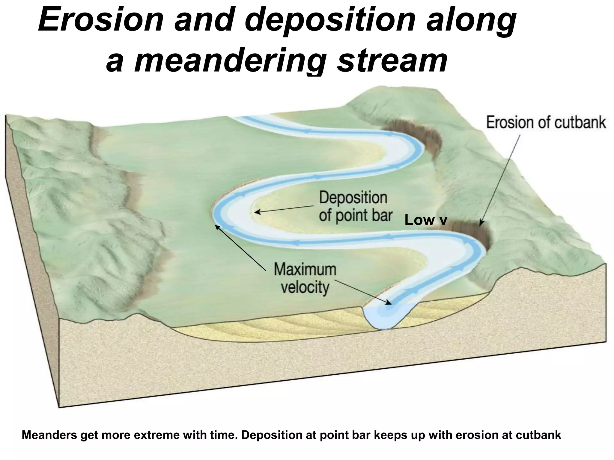 Erosion and deposition along
a meandering stream
Meanders get more extreme with time. Deposition at point bar keeps up with erosion at cutbank
Low v
 