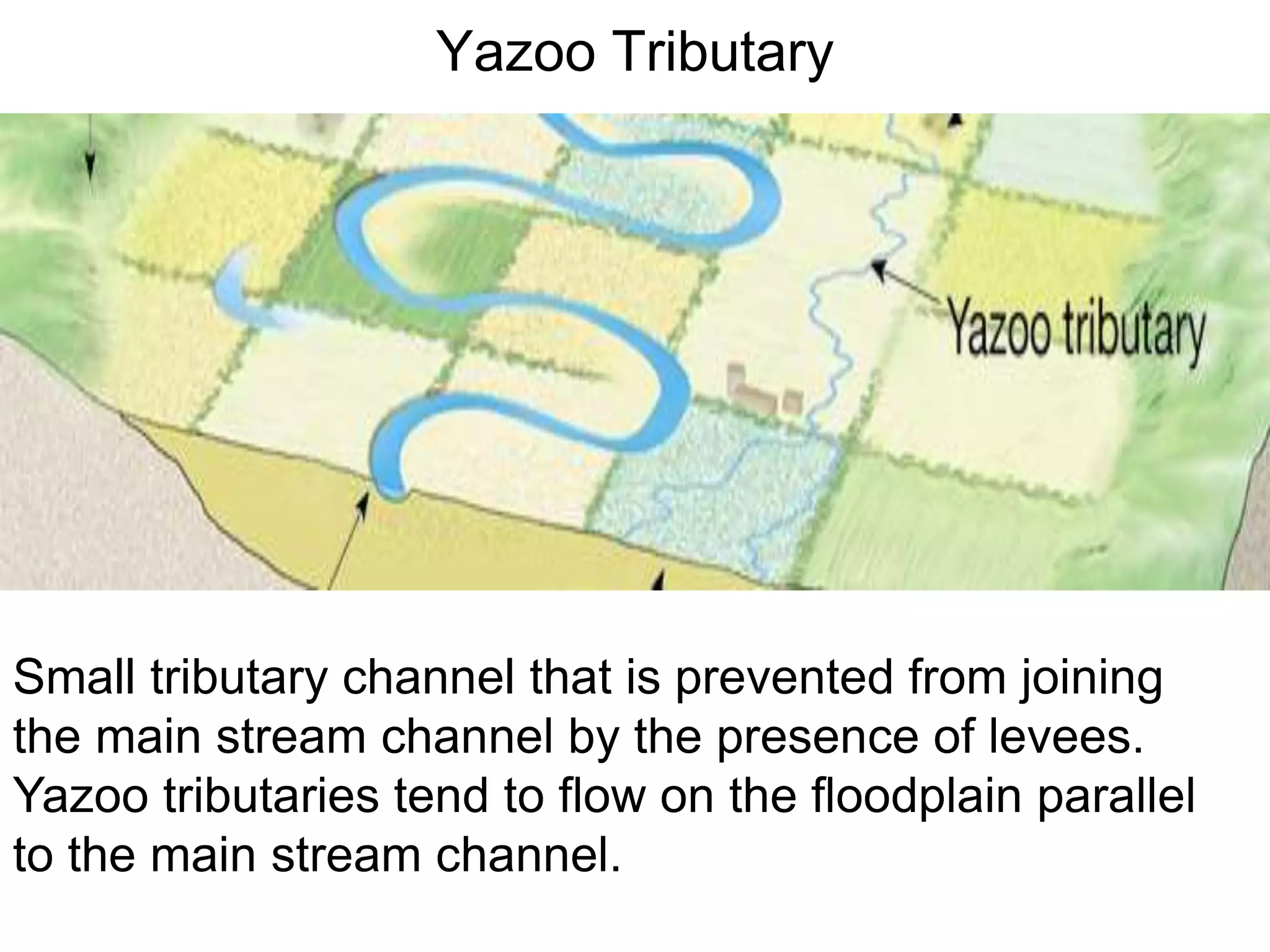 Yazoo Tributary
Small tributary channel that is prevented from joining
the main stream channel by the presence of levees.
Yazoo tributaries tend to flow on the floodplain parallel
to the main stream channel.
 