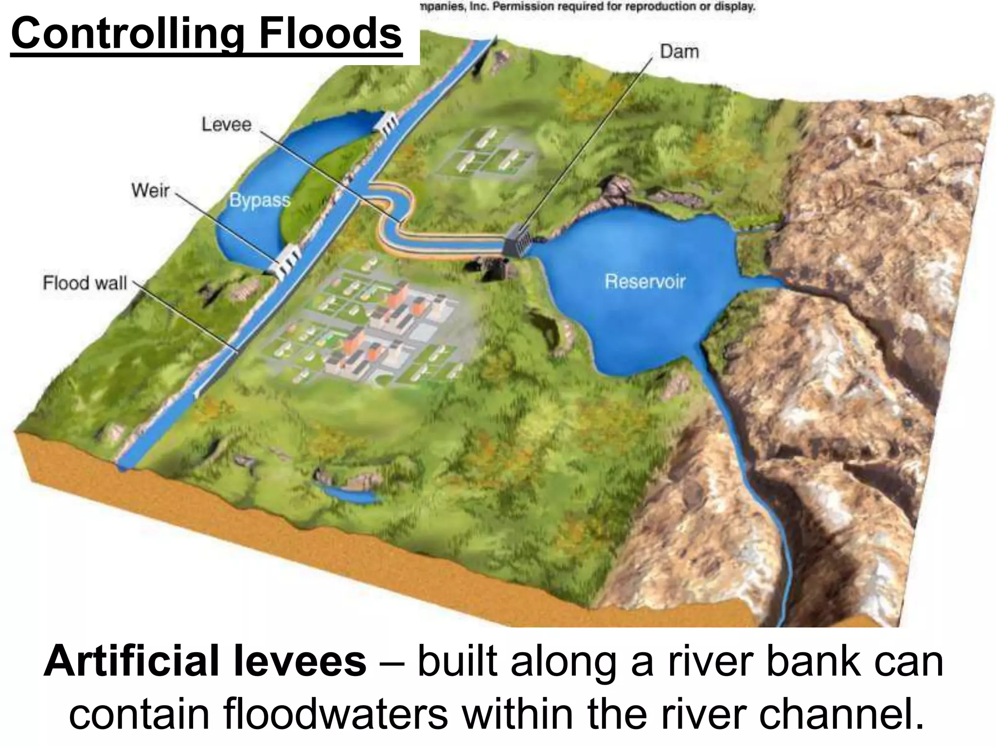 Controlling Floods
Artificial levees – built along a river bank can
contain floodwaters within the river channel.
 