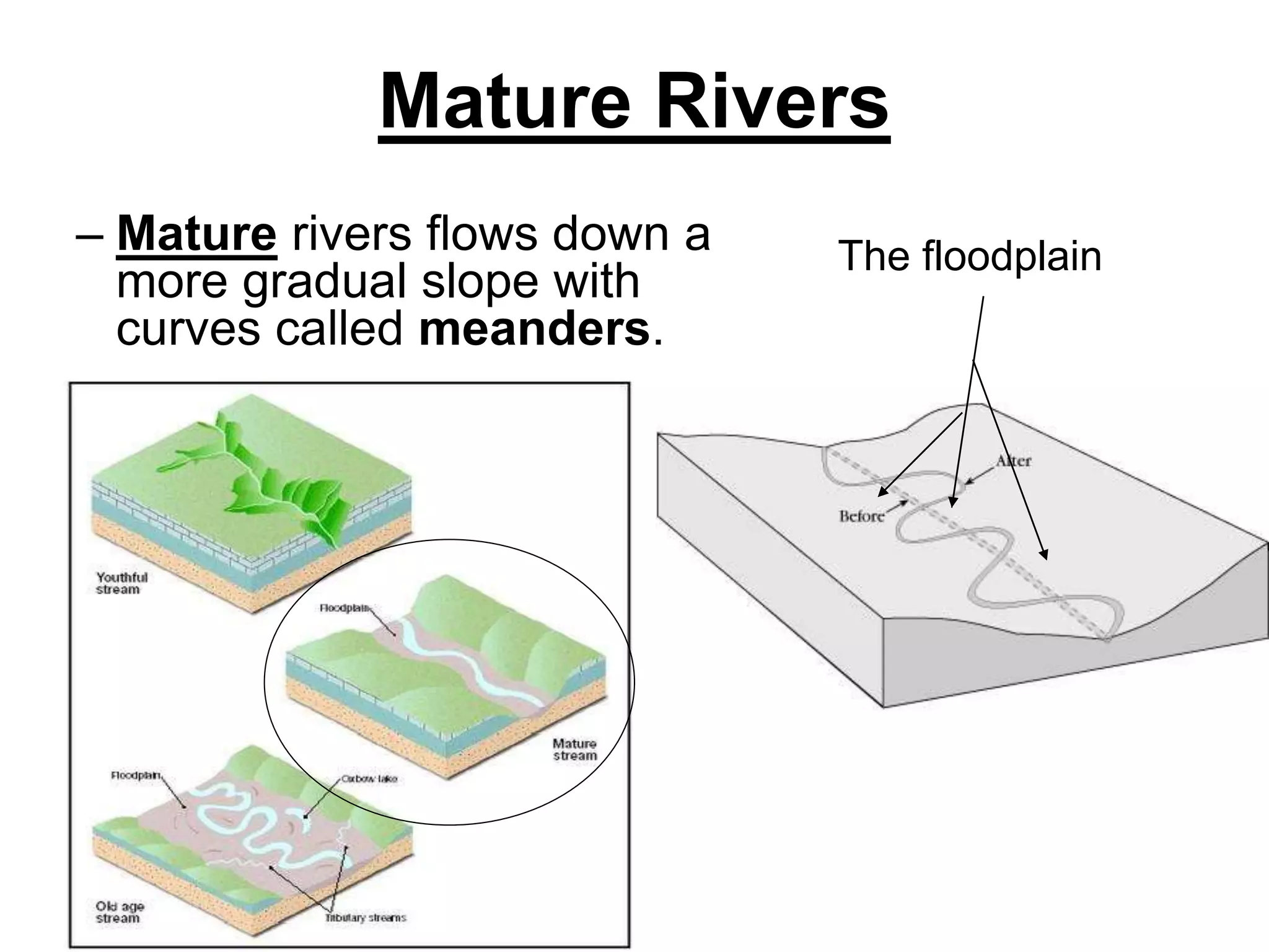 Mature Rivers
– Mature rivers flows down a
more gradual slope with
curves called meanders.
The floodplain
 
