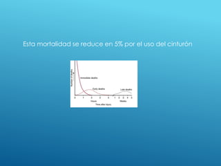 Esta mortalidad se reduce en 5% por el uso del cinturón
 