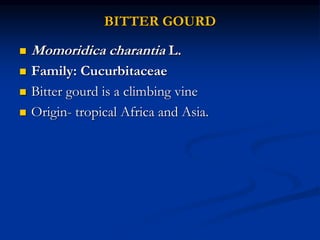 BITTER GOURD
 Momoridica charantia L.
 Family: Cucurbitaceae
 Bitter gourd is a climbing vine
 Origin- tropical Africa and Asia.
 