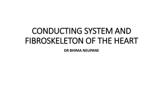 CONDUCTING SYSTEM AND
FIBROSKELETON OF THE HEART
DR BHIMA NEUPANE
 