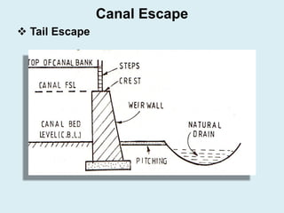 ❖ Tail Escape
Canal Escape
 